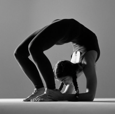 Comprehensive Yoga Classes in Noida - Join Expert-Led Yoga Sessions for All Levels