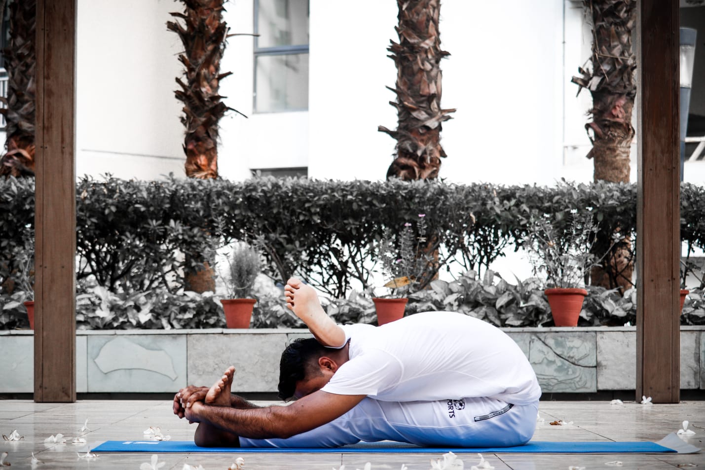 Yoga Teacher in Noida Sector 40 