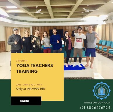 Professional Yoga Classes in Noida - Yoga Training for All Levels, Health, and Wellness